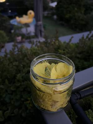 Salben nach Jahreszeit